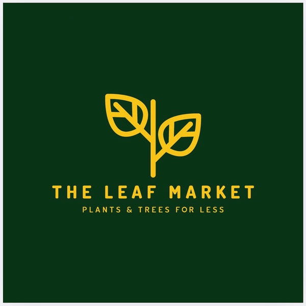 The Leaf Market